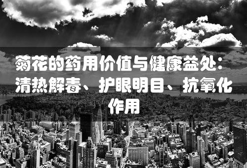 菊花的药用价值与健康益处：清热解毒、护眼明目、抗氧化作用