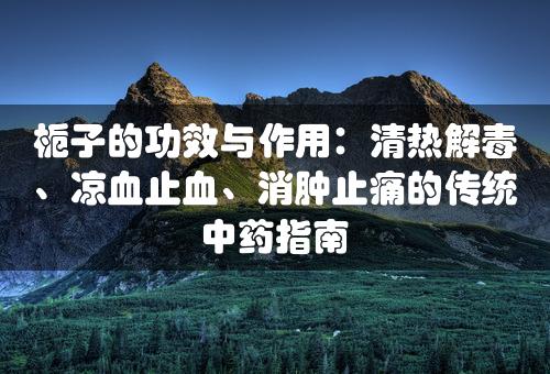 栀子的功效与作用：清热解毒、凉血止血、消肿止痛的传统中药指南