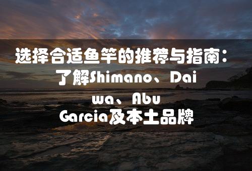 选择合适鱼竿的推荐与指南：了解Shimano、Daiwa、Abu Garcia及本土品牌