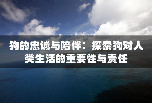 狗的忠诚与陪伴：探索狗对人类生活的重要性与责任