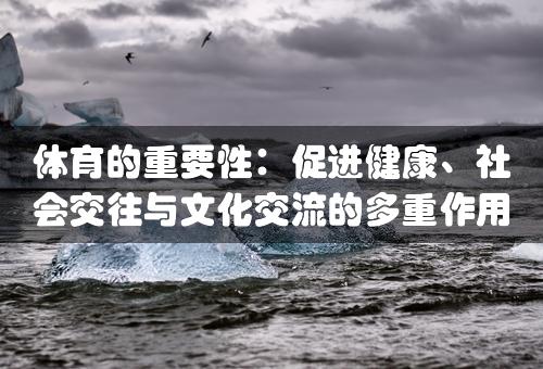 体育的重要性：促进健康、社会交往与文化交流的多重作用