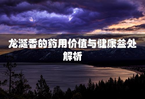 龙涎香的药用价值与健康益处解析