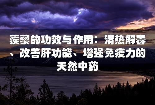 蒺藜的功效与作用：清热解毒、改善肝功能、增强免疫力的天然中药