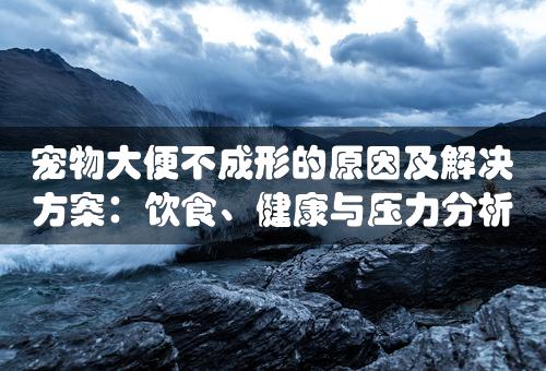 宠物大便不成形的原因及解决方案：饮食、健康与压力分析