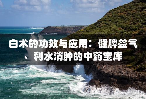 白术的功效与应用：健脾益气、利水消肿的中药宝库