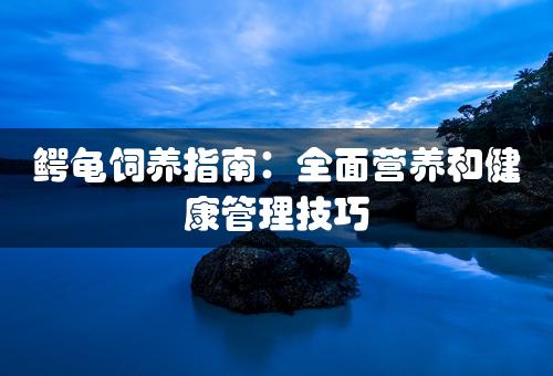 鳄龟饲养指南：全面营养和健康管理技巧