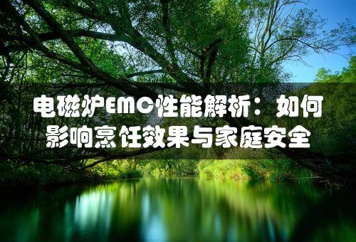 电磁炉EMC性能解析：如何影响烹饪效果与家庭安全