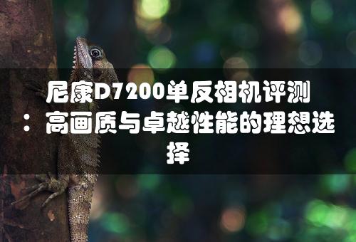 尼康D7200单反相机评测：高画质与卓越性能的理想选择