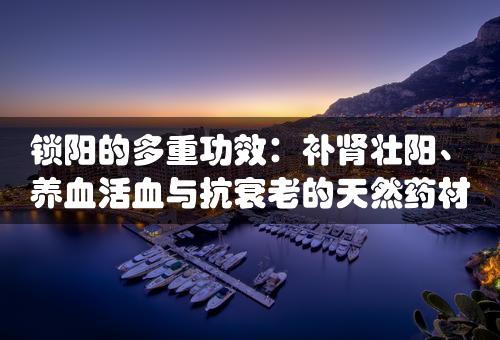 锁阳的多重功效：补肾壮阳、养血活血与抗衰老的天然药材