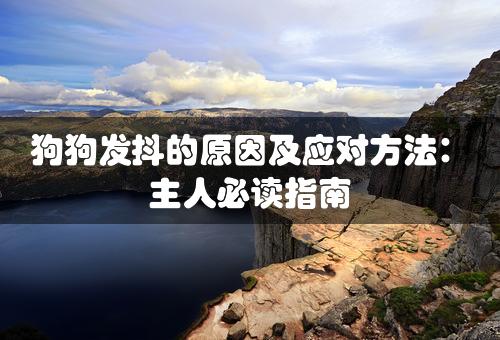 狗狗发抖的原因及应对方法：主人必读指南