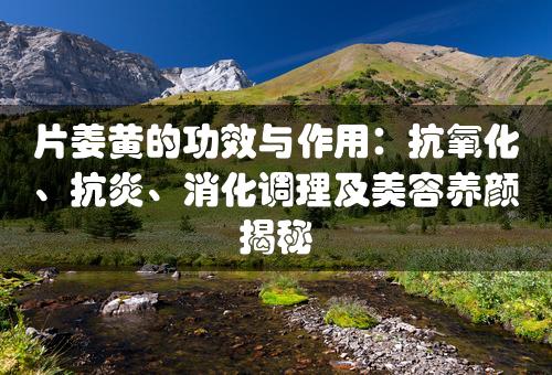 片姜黄的功效与作用：抗氧化、抗炎、消化调理及美容养颜揭秘