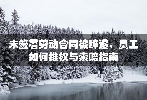 未签署劳动合同被辞退，员工如何维权与索赔指南