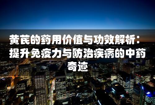 黄芪的药用价值与功效解析：提升免疫力与防治疾病的中药奇迹