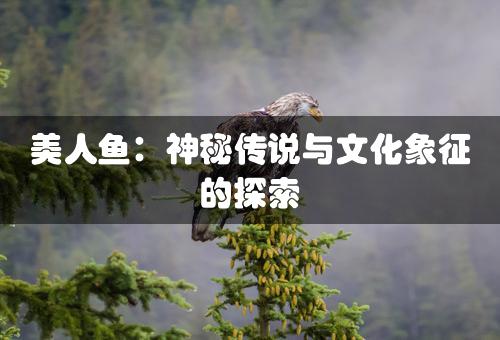 美人鱼：神秘传说与文化象征的探索