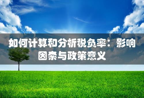 如何计算和分析税负率：影响因素与政策意义