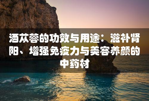 酒苁蓉的功效与用途：滋补肾阳、增强免疫力与美容养颜的中药材