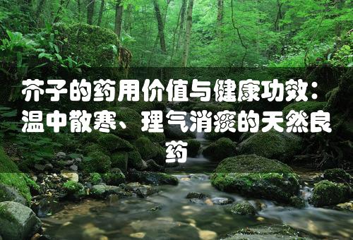 芥子的药用价值与健康功效：温中散寒、理气消痰的天然良药