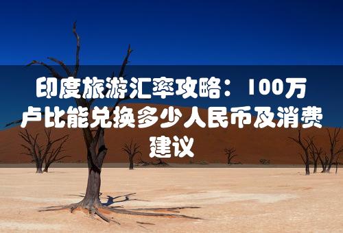 印度旅游汇率攻略：100万卢比能兑换多少人民币及消费建议