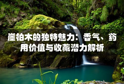 崖柏木的独特魅力：香气、药用价值与收藏潜力解析