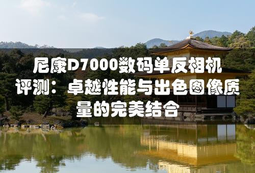 尼康D7000数码单反相机评测：卓越性能与出色图像质量的完美结合