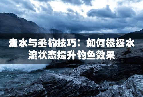 走水与垂钓技巧：如何根据水流状态提升钓鱼效果