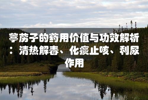 葶苈子的药用价值与功效解析：清热解毒、化痰止咳、利尿作用