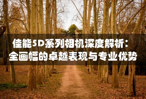 佳能5D系列相机深度解析：全画幅的卓越表现与专业优势