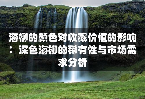 海柳的颜色对收藏价值的影响：深色海柳的稀有性与市场需求分析