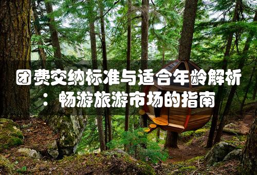 团费交纳标准与适合年龄解析：畅游旅游市场的指南