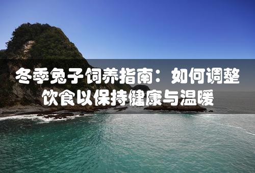 冬季兔子饲养指南：如何调整饮食以保持健康与温暖