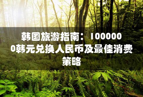 韩国旅游指南：1000000韩元兑换人民币及最佳消费策略