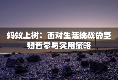 蚂蚁上树：面对生活挑战的坚韧哲学与实用策略