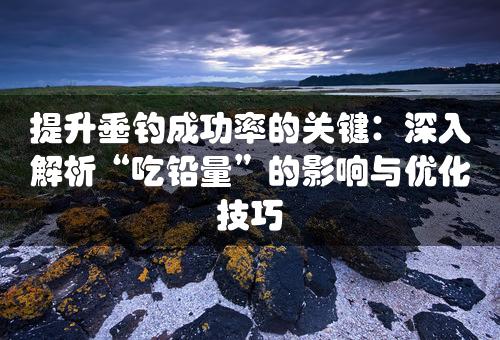 提升垂钓成功率的关键：深入解析“吃铅量”的影响与优化技巧