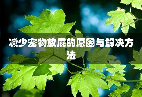 减少宠物放屁的原因与解决方法