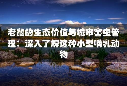 老鼠的生态价值与城市害虫管理：深入了解这种小型哺乳动物