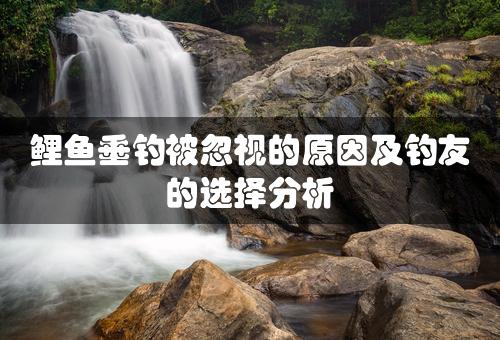 鲤鱼垂钓被忽视的原因及钓友的选择分析