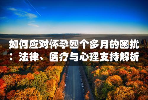 如何应对怀孕四个多月的困扰：法律、医疗与心理支持解析