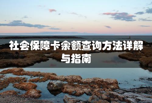 社会保障卡余额查询方法详解与指南