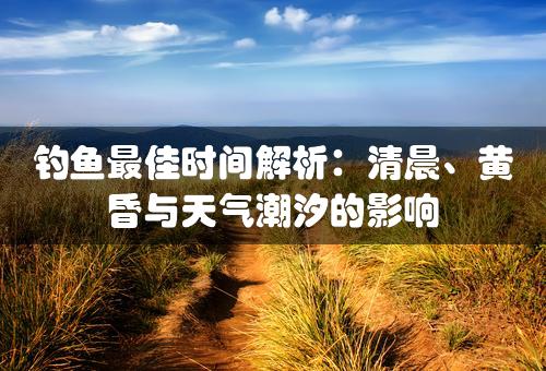 钓鱼最佳时间解析：清晨、黄昏与天气潮汐的影响