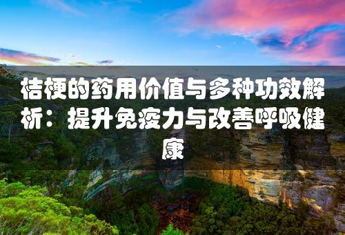 桔梗的药用价值与多种功效解析：提升免疫力与改善呼吸健康