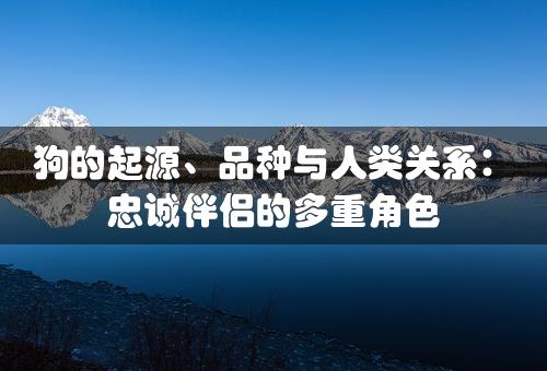 狗的起源、品种与人类关系：忠诚伴侣的多重角色