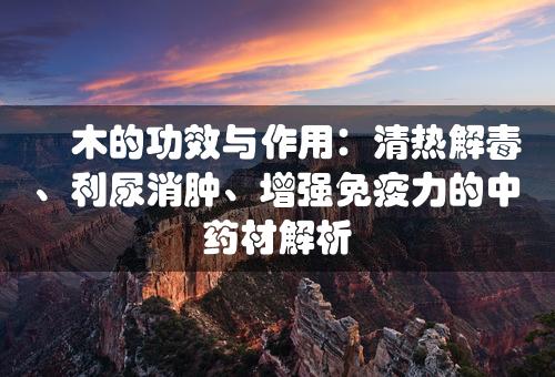 楤木的功效与作用：清热解毒、利尿消肿、增强免疫力的中药材解析