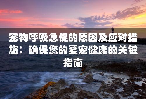 宠物呼吸急促的原因及应对措施：确保您的爱宠健康的关键指南