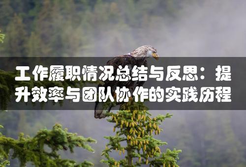 工作履职情况总结与反思：提升效率与团队协作的实践历程