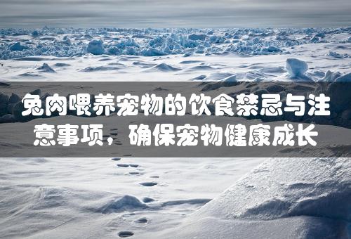 兔肉喂养宠物的饮食禁忌与注意事项，确保宠物健康成长