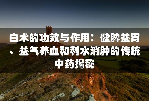 白术的功效与作用：健脾益胃、益气养血和利水消肿的传统中药揭秘