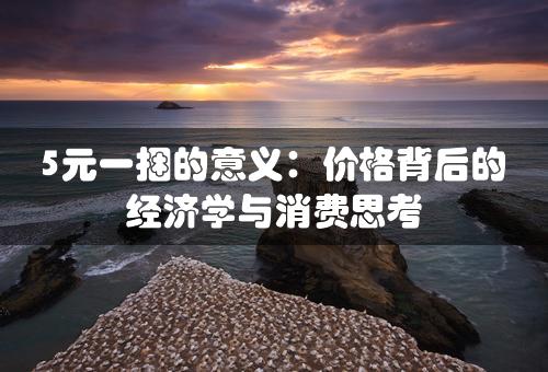 5元一捆的意义：价格背后的经济学与消费思考