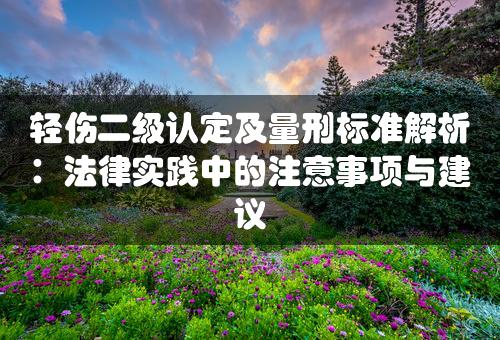 轻伤二级认定及量刑标准解析：法律实践中的注意事项与建议