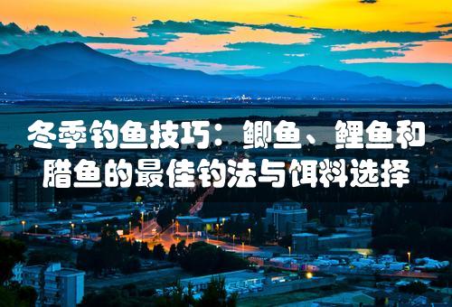 冬季钓鱼技巧：鲫鱼、鲤鱼和腊鱼的最佳钓法与饵料选择