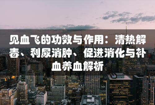 见血飞的功效与作用：清热解毒、利尿消肿、促进消化与补血养血解析